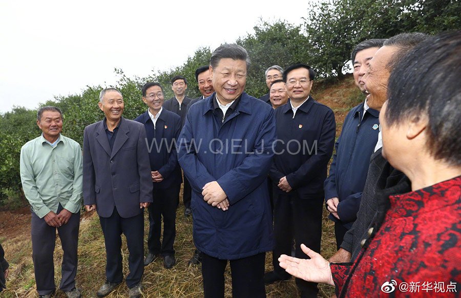 光山油茶籽榨油設(shè)備，山茶籽油榨油機廠家(圖2)