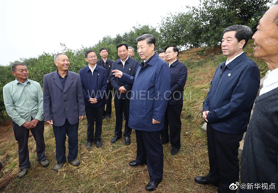 光山油茶籽榨油設(shè)備，山茶籽油榨油機廠家(圖3)